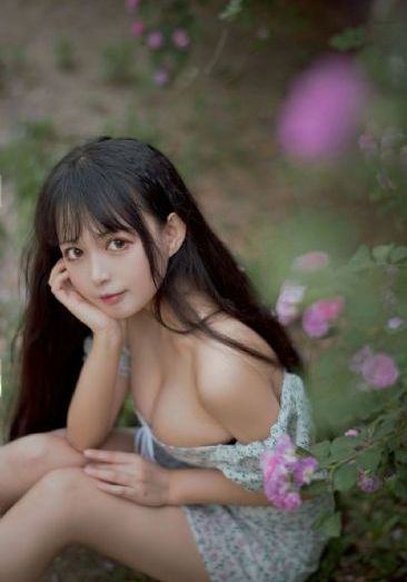 回复术士第2季在线播放免费观看
