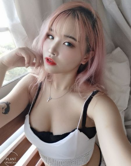 凡人修仙传在线