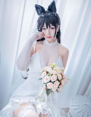 傲骨贤妻第四季