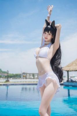 二炮手免费观看完整版在线播放